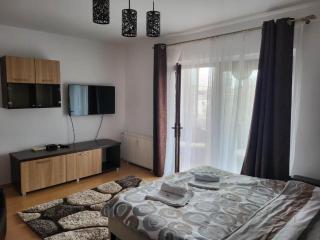 Welcome home to your peacefull and lovely place - Timişoara - 0