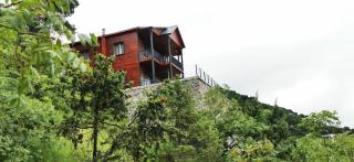 Kozalak Forest Mansion - Akçaabat - 9