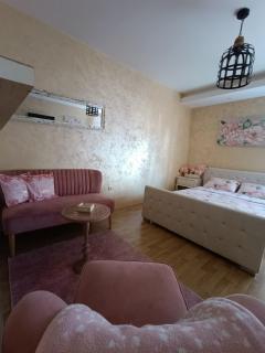 Apartman Golden Rose - Loznica - 3