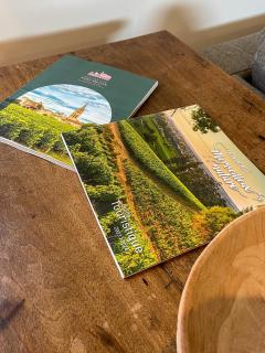 Maison cosy avec vue sur les vignes. - Libourne - 9