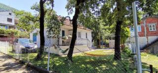 Forest house - Sutomore - 9