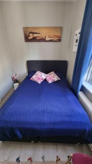 Central Comfort Room in heart of Oslo, Majorstuen - Oslo - 8