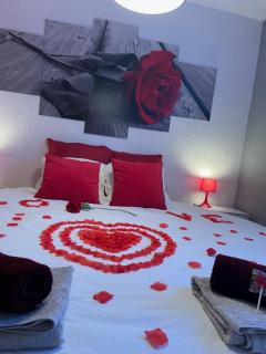 Joli T2, jacuzzi, lit rond, jardin, parking privé, métro - 2