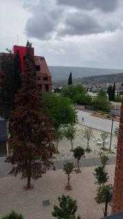 Unique 1BR with balcony Moedani - Tbilisi - 6