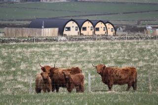 Glengolly Getaways - Thurso - 5