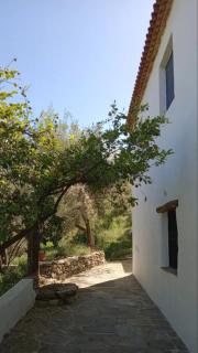Cortijo Rural Andalusí - Órgiva - 7