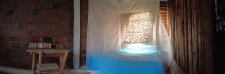 hostal pakal - Mazunte - 1