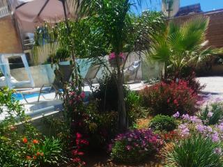 Amare suite - 1