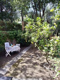 L' eden di Erasmo - 4