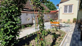 Rose Gardens - Vršac - 3