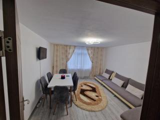 Special apartment NADEVA - Suceava - 0