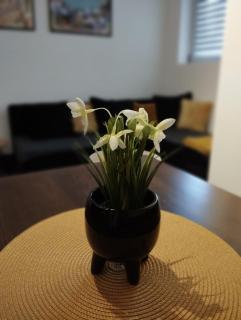 Apartman Nera - Stara Pazova - 7