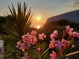 Lulù - Il "Vecchio Geco" B&b in Maratea - Maratea - 8