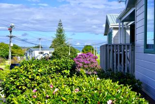 Oneroa Tui Garden, Waiheke - Oneroa - 0