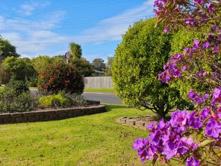 Oneroa Tui Garden, Waiheke - Oneroa - 3