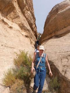 Bedouin outdoors Camp wild - 2