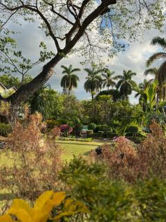 Montego Bay Beach House - Montego Bay - 7