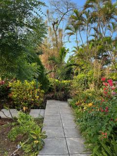 Montego Bay Beach House - Montego Bay - 6
