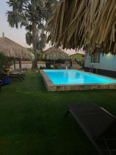 Palmhouse Apartments Aruba 1- 4 persons - Savaneta - 5