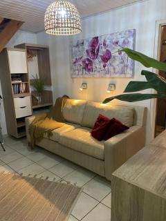 Palmhouse Apartments Aruba 1- 4 persons - Savaneta - 2