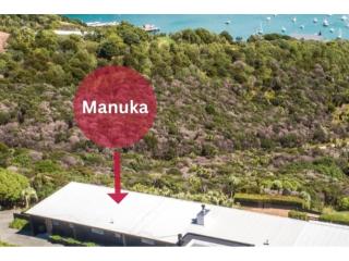 Delamore Cove - Manuka - Stay Waiheke - Matiatia Bay - 9