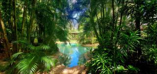 Paperbark Retreat - Cooktown - 7