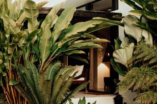 Villa Riad - Ewingsdale - 1