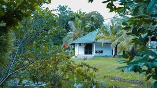 Jungle Heart Cabanas - 2