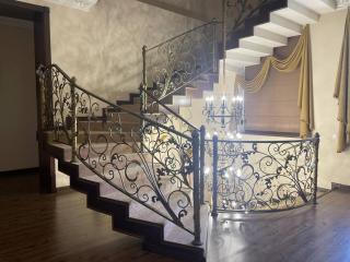 Luxury homestay with a pool at Turon - Tashkent - 3