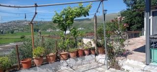 Yannoula's Family Home - Sarandë - 3