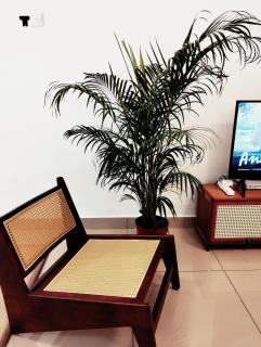021 Palazio Apartment Japanese style Studio Mount Austin Wifi & Netflix - Johor Bahru - 5