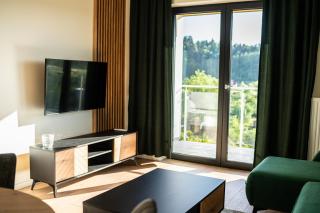 Apartamenty Lesko 37 - Lesko - 9