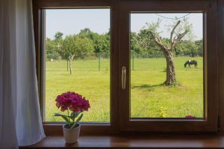 Pool & Spa House Betiga 2 - Happy Rentals - Barbariga - 4