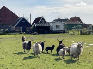 Afbeelding van de locatie