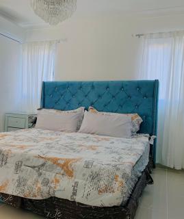 Millennium rentals - Santiago de los Caballeros - 5