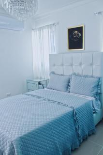 Millennium rentals - Santiago de los Caballeros - 1