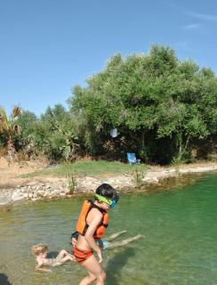 Casaleja, entre árboles y agua - Jerez de la Frontera - 9
