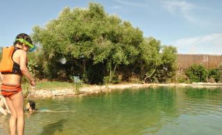 Casaleja, entre árboles y agua - Jerez de la Frontera - 8
