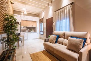 Apartamento industrial 1 dormitorio y garaje - Siviglia - 7