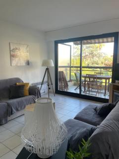 Joli appartement avec piscine - Antibes - 2