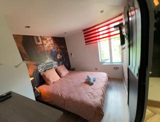 Appartement T1 4 Pers Clim parking privé - Épinal - 2
