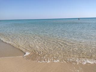 Villa Palma a 80m dal mare - Punta Prosciutto - 0
