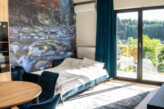 Apartamenty Lesko 36 - Lesko - 6