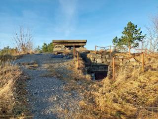 Ålesund New Guesthouse - 3