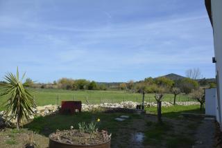 Casa da Lima - Nestled in Nature on Santiago's and Fatima's Path, Close to Coimbra and Rabacal - 4