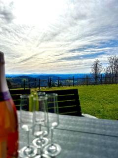 Gemütliches Alpenblick BERG-Bungalow + großer GARTEN + NETFLIX! - 4