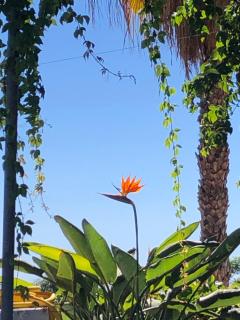 Camping Santa Clara - Altea - 2