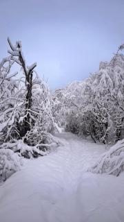 Adventure Panorama "Salober" Top 9 - 3