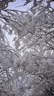 Adventure Panorama "Salober" Top 9 - 2