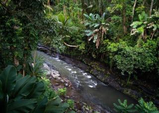 Ubud zen river house, secluded tranquil retreat in nature - 6